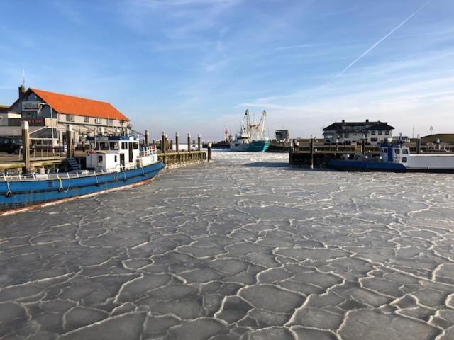 Duinhotel Texel Де Коох Екстериор снимка